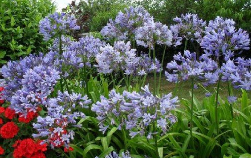 Location de vacances - Gîte à Saint-Cast-le-Guildo