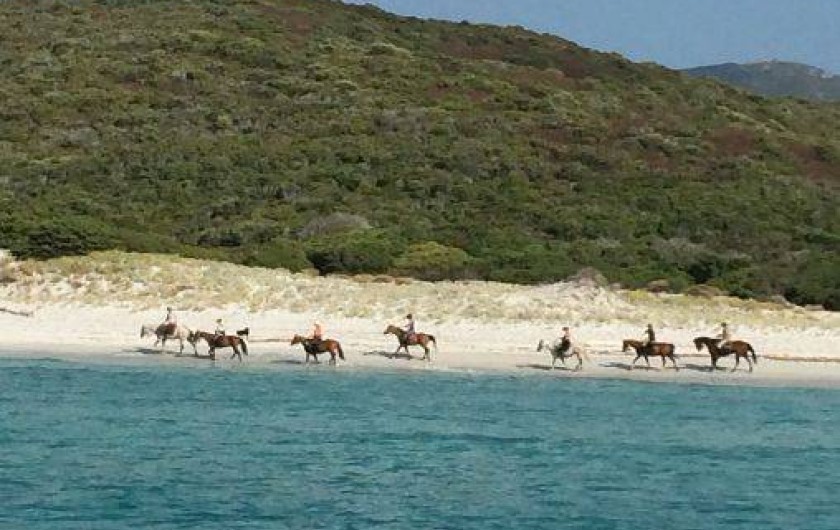 Location de vacances - Maison - Villa à Saint-Florent