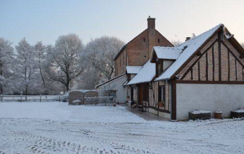 Location de vacances - Gîte à Neung-sur-Beuvron