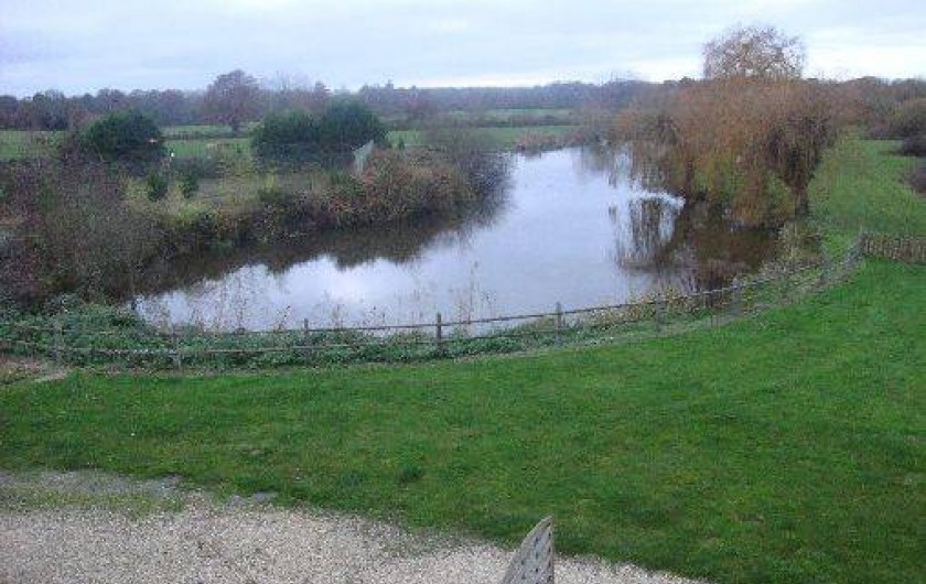 Location de vacances - Gîte à Neung-sur-Beuvron