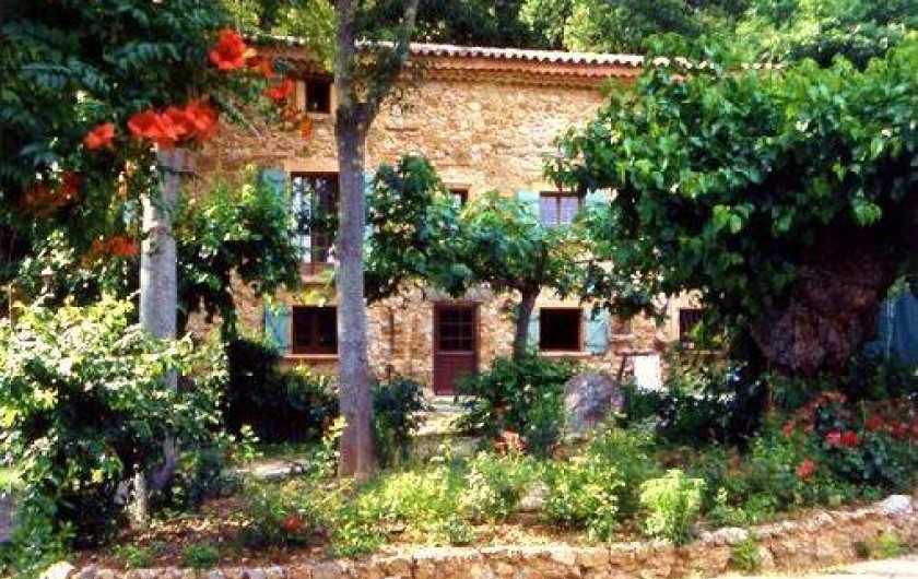 Location de vacances - Maison - Villa à Trans-en-Provence