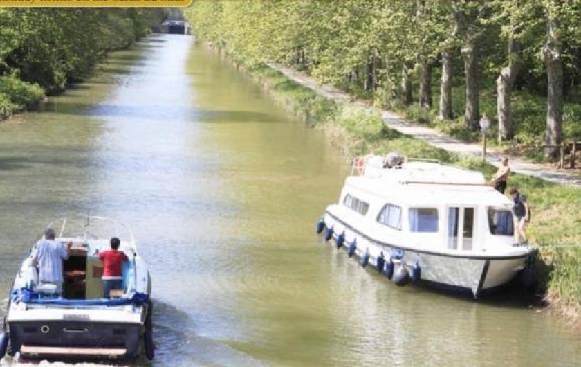 Location de vacances - Gîte à Bram