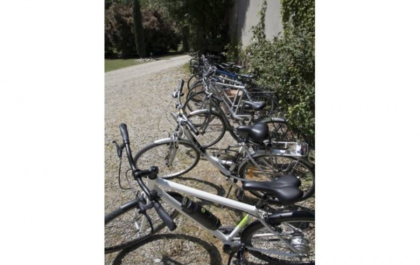 Location de vacances - Gîte à Bram