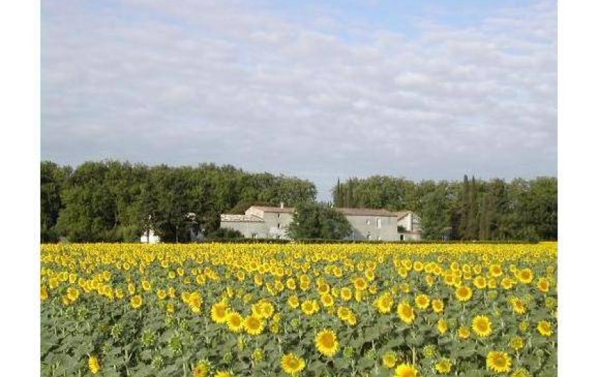 Location de vacances - Gîte à Bram