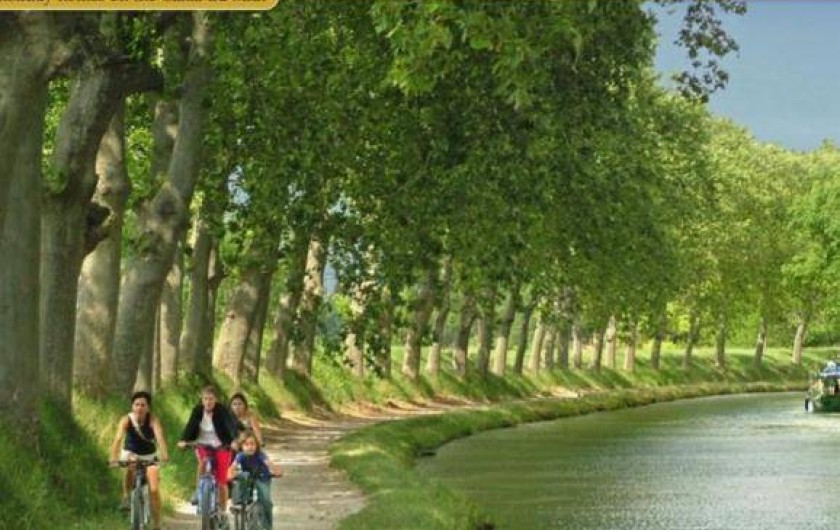 Location de vacances - Gîte à Bram