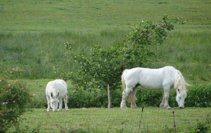 Location de vacances - Camping à Raids