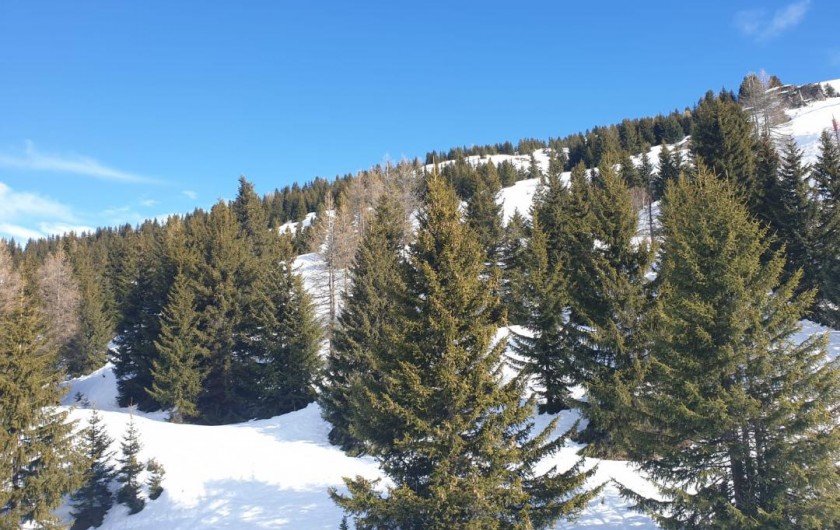 Location de vacances - Appartement à Valmeinier 1800