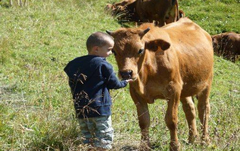 Location de vacances - Gîte à Arêches