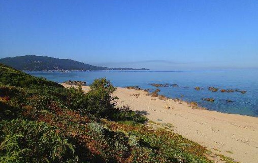 Location de vacances - Studio à Propriano