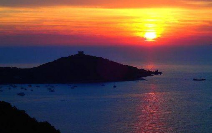 Location de vacances - Studio à Propriano