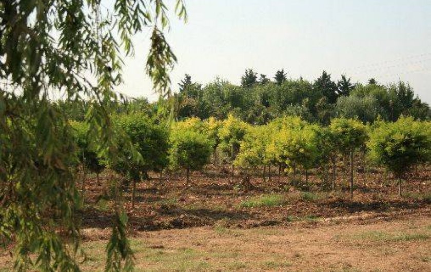 Location de vacances - Villa à Fréjus