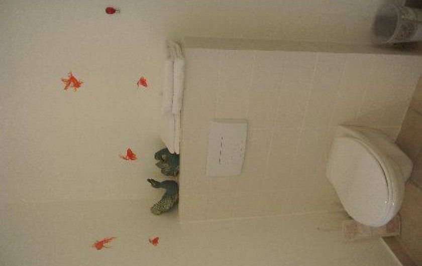 Location de vacances - Appartement à Galéria