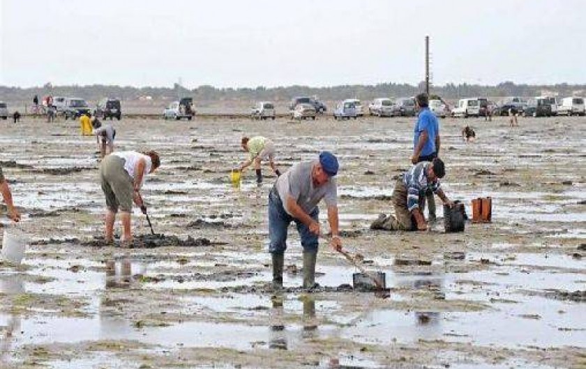 Location de vacances - Gîte à Beauvoir-sur-Mer