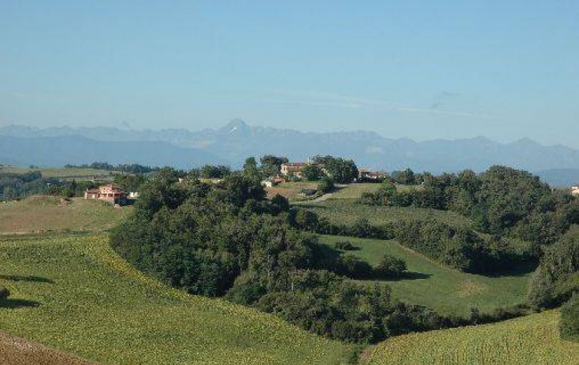 Location de vacances - Gîte à Gaillac-Toulza