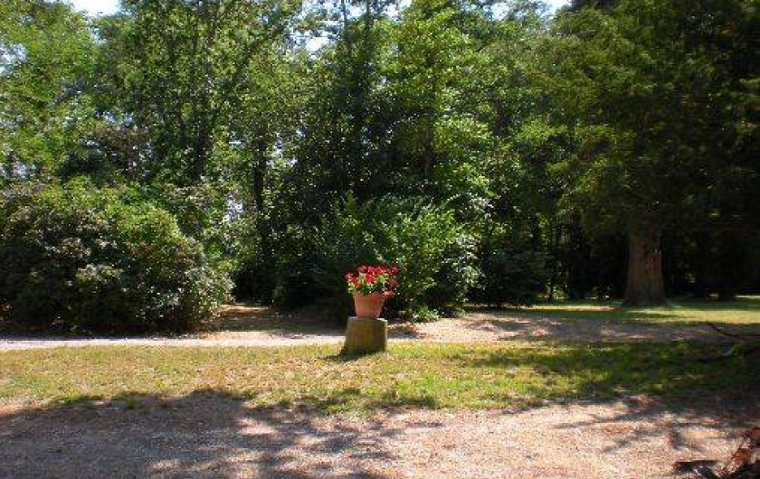 Location de vacances - Maison - Villa à Carcassonne