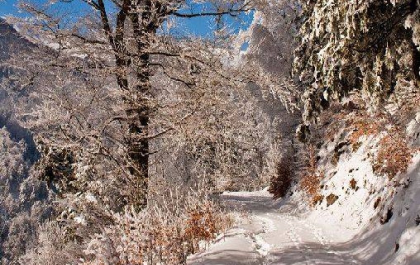 Location de vacances - Camping à Praz-sur-Arly