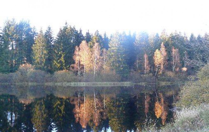 Location de vacances - Chambre d'hôtes à Amont-et-Effreney - Un des nombreux étangs