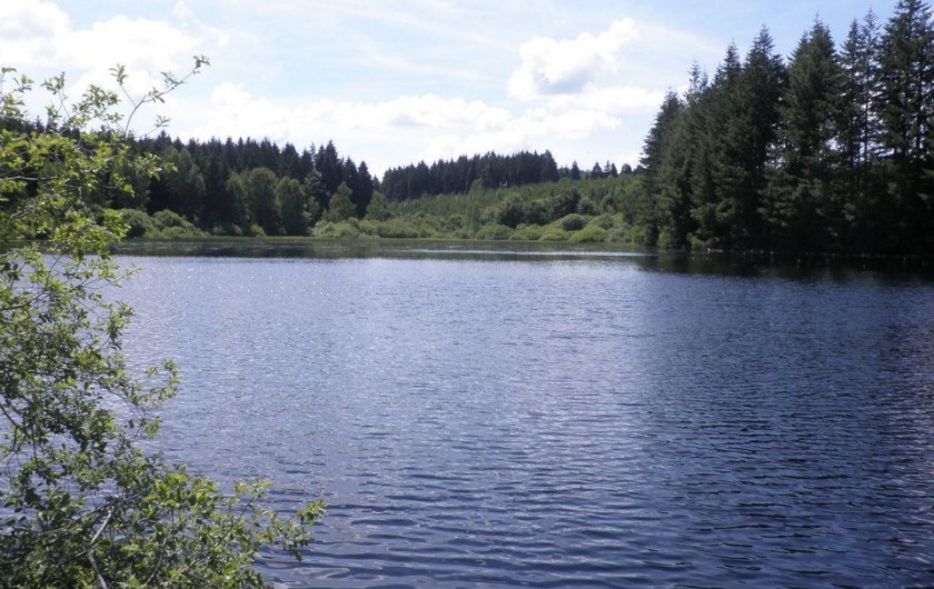 Location de vacances - Chambre d'hôtes à Amont-et-Effreney - L'étang de Faideaugrave à 2 km