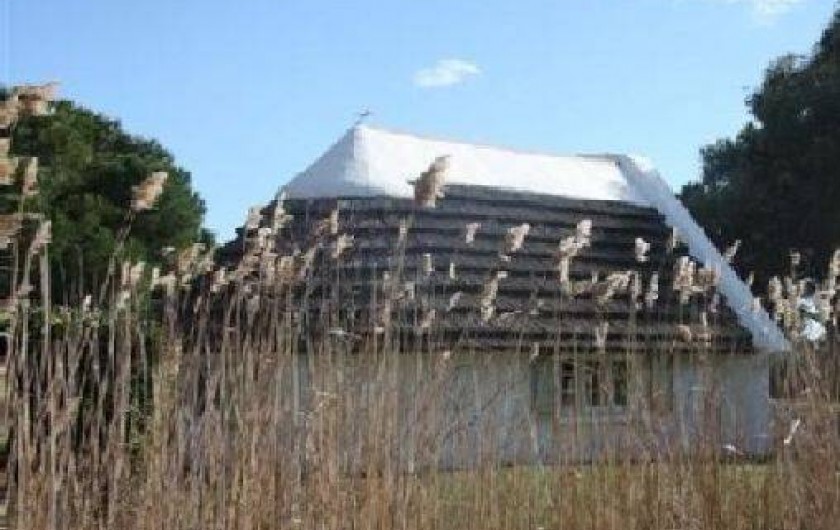 Location de vacances - Mas à Saintes-Maries-de-la-Mer