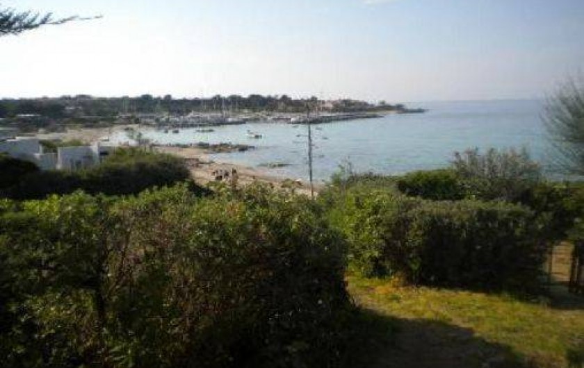 Location de vacances - Maison - Villa à Lumio