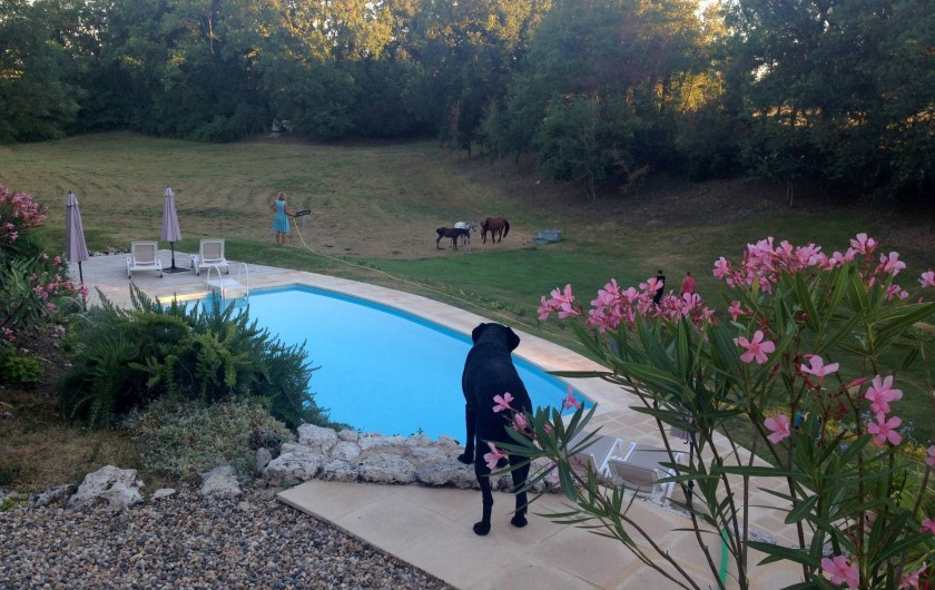 Location de vacances - Gîte à Issigeac
