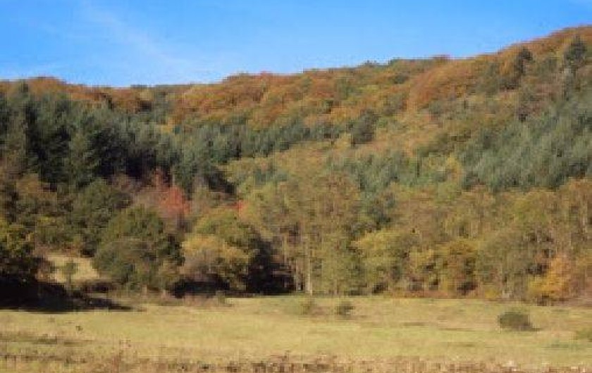 Location de vacances - Gîte à Comps-la-Grand-Ville