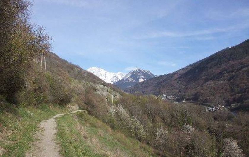 Location de vacances - Appartement à Brides-les-Bains