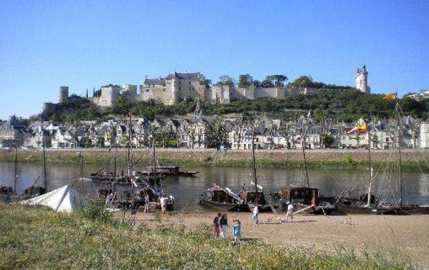 Location de vacances - Gîte à Chinon