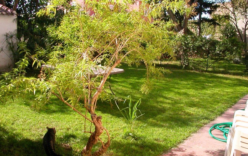 Location de vacances - Maison - Villa à Alénya