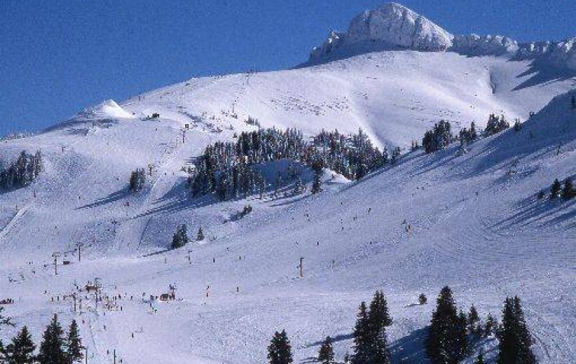 Location de vacances - Gîte à Thollon-les-Mémises