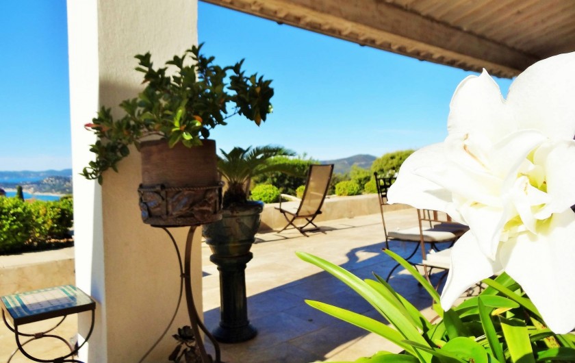 Location de vacances - Villa à Les Issambres