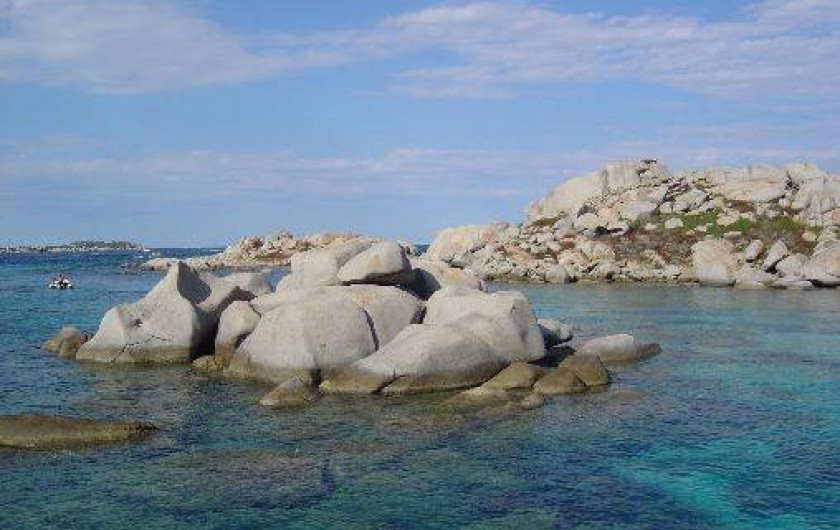 Location de vacances - Chalet à Bonifacio