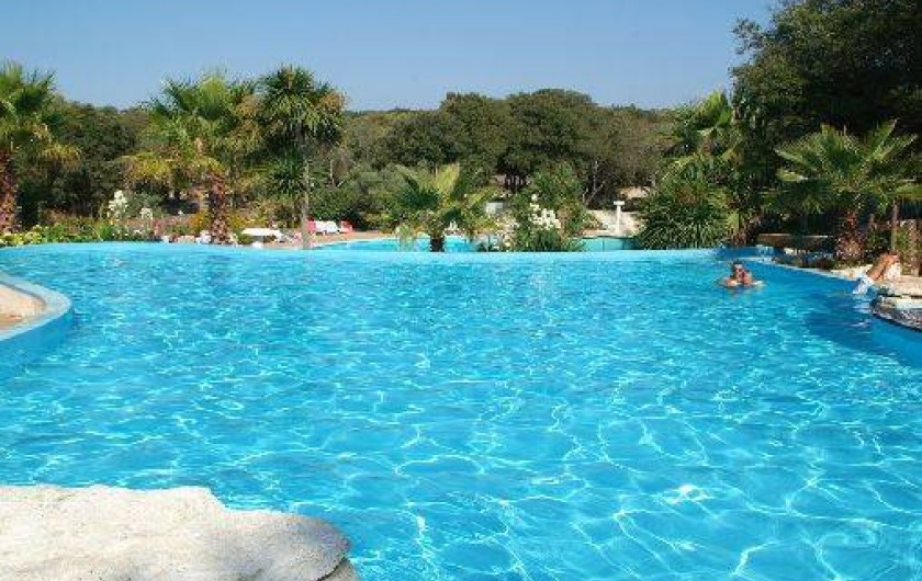 Location de vacances - Chalet à Bonifacio