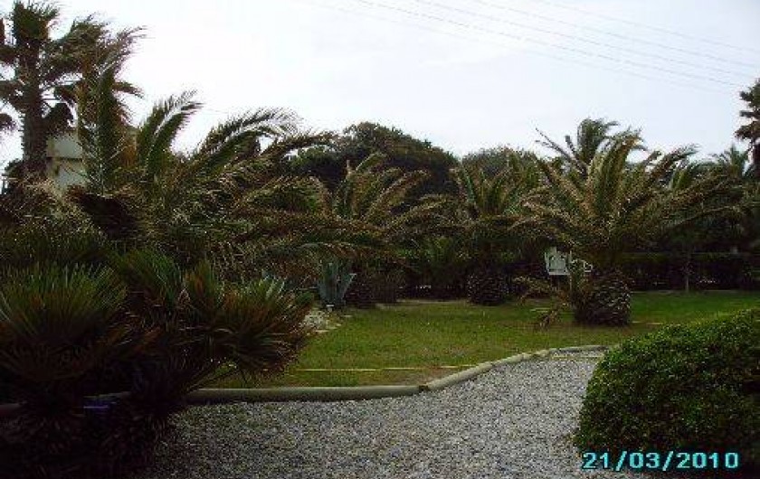 Location de vacances - Appartement à Hyères