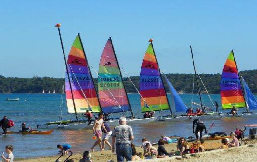 Location de vacances - Appartement à Hyères