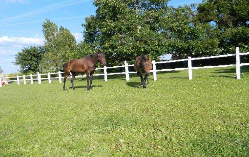 Location de vacances - Chambre d'hôtes à Trégomeur
