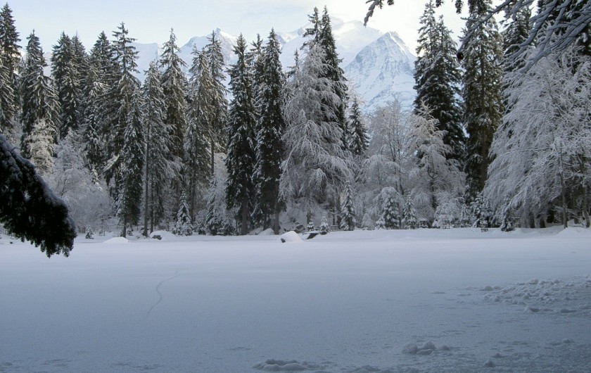 Location de vacances - Chalet à Servoz