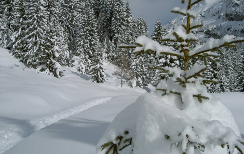 Location de vacances - Chalet à Servoz