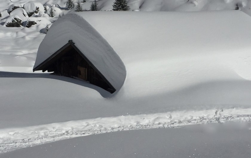 Location de vacances - Chalet à Servoz