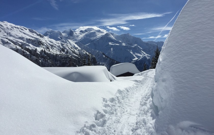 Location de vacances - Chalet à Servoz