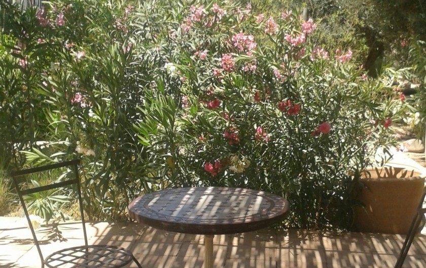 Location de vacances - Gîte à Taroudant