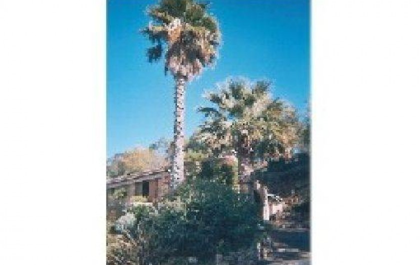 Location de vacances - Studio à Les Issambres