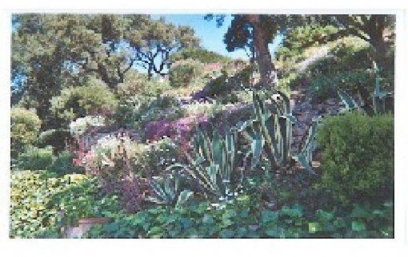 Location de vacances - Studio à Les Issambres