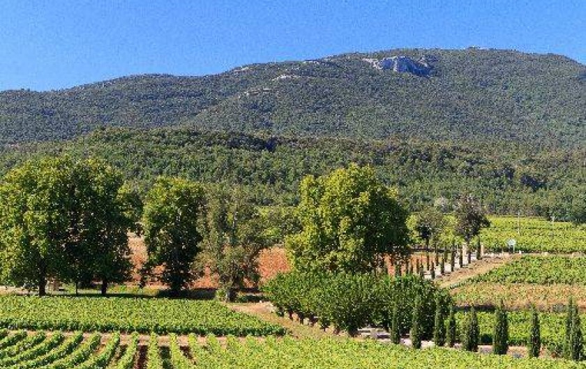 Location de vacances - Appartement à Pontevès