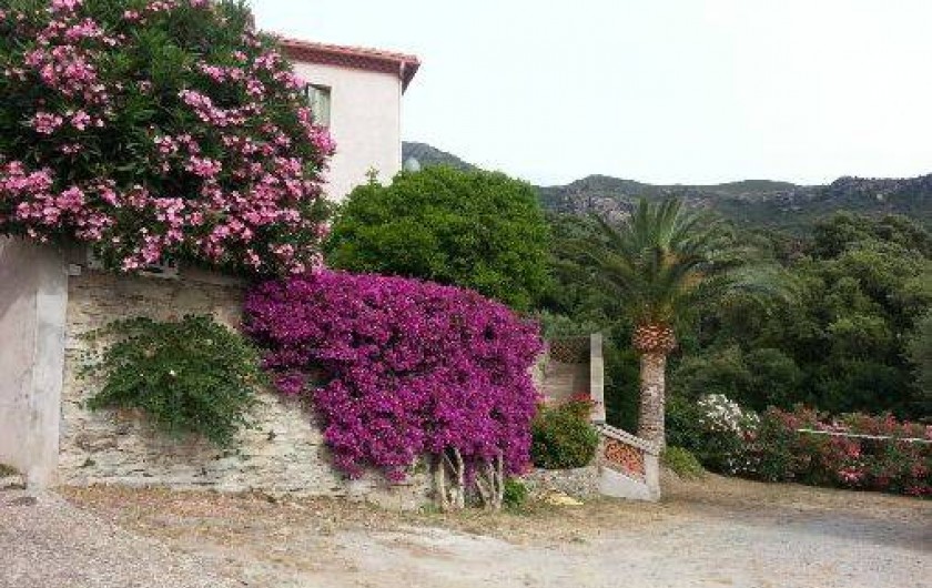 Location de vacances - Maison - Villa à Farinole