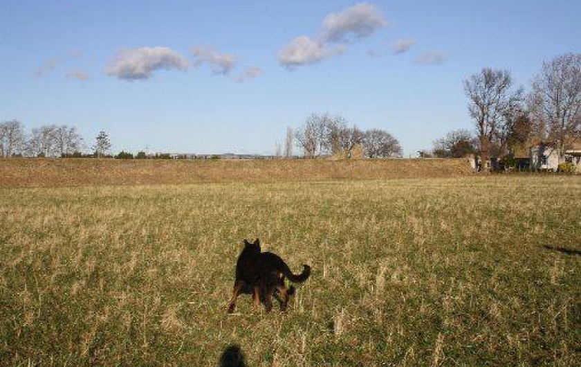 Location de vacances - Mas à Moulès
