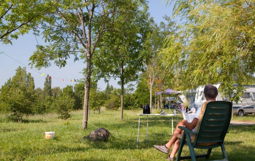 Location de vacances - Camping à Lussas