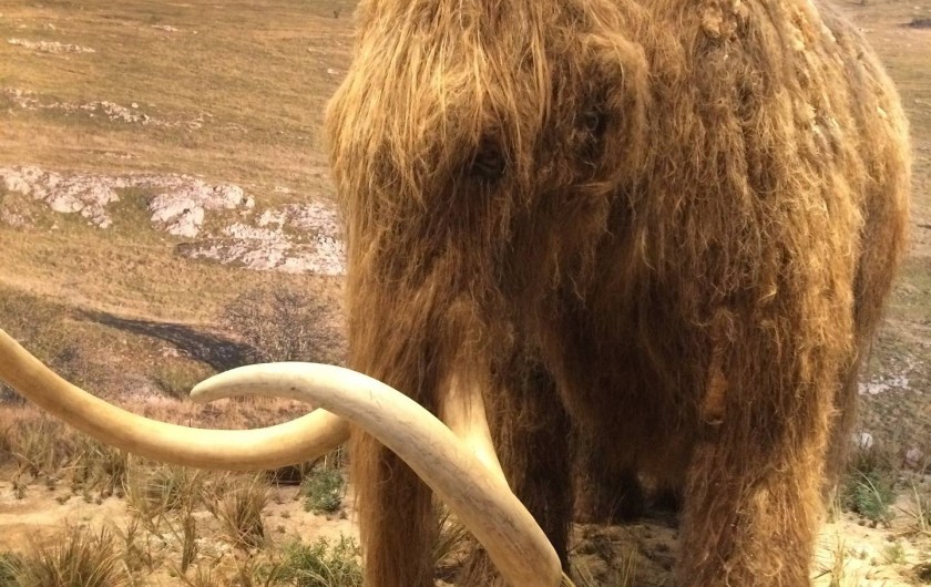 Location de vacances - Camping à Lussas