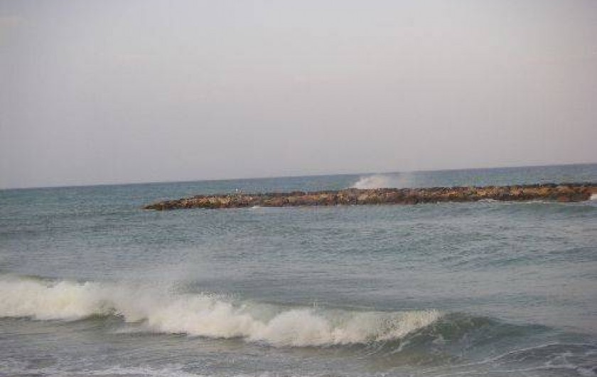 Location de vacances - Appartement à Le Barcarès