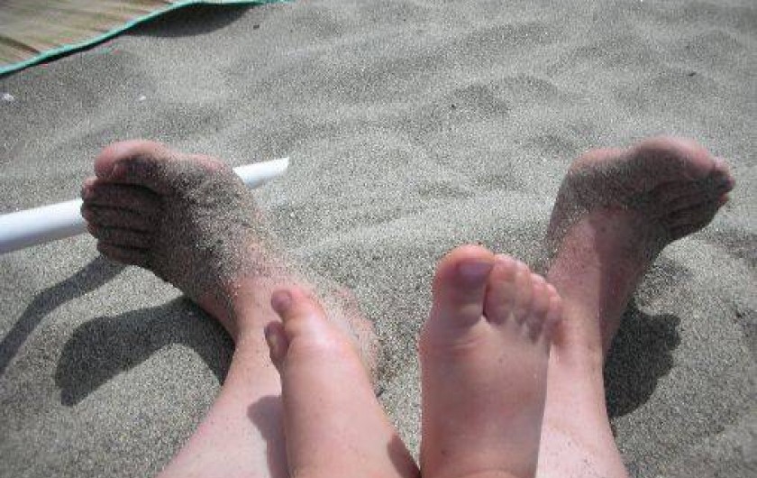 Location de vacances - Appartement à Le Barcarès